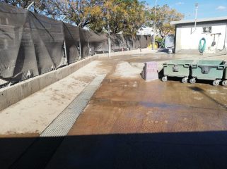 IMG 20241111 115354