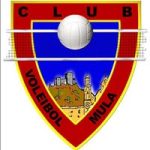 logo voleibol